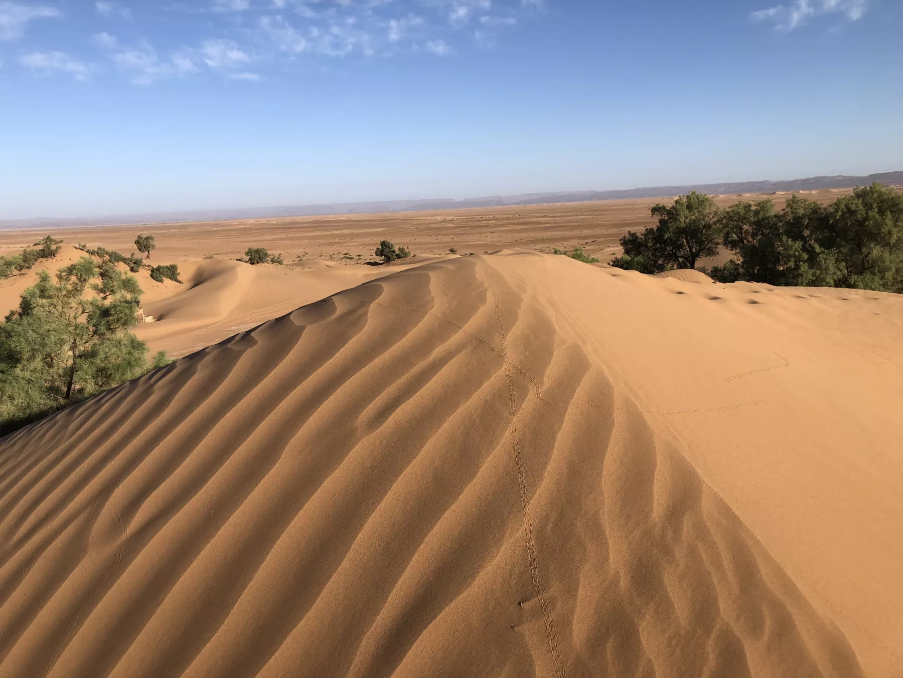 Image de gallerie img_0244